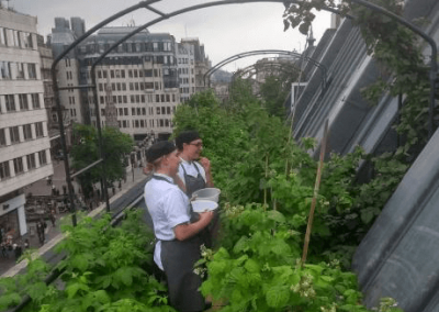 Urban oasis – Reclaim