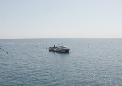 Farms of the future: mussel farming given a new lifeline – Positive News
