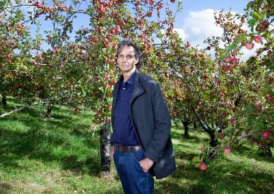 Apples from ‘perfect harvest’ rot on the ground as demand for cider slumps – Observer