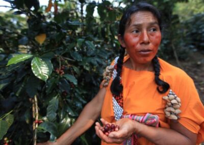 Special brew: eco-friendly Peruvian coffee leaves others in the shade – Guardian